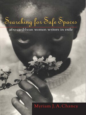 cover image of Searching for Safe Spaces